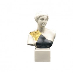 Busto Venere